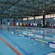 منافسة رياضية في تخصص السباحة - الاثنين 15 ديسمبر 2025 - صور 