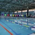 منافسة رياضية في تخصص السباحة - الاثنين 15 ديسمبر 2025 - صور 