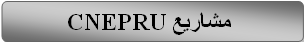 cnepru