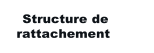 Structure de  rattachement
