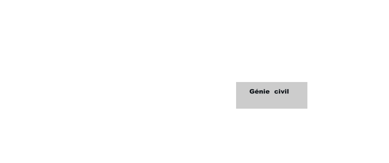 Gnie  civil