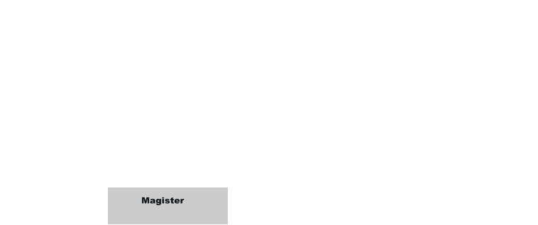 Magister
