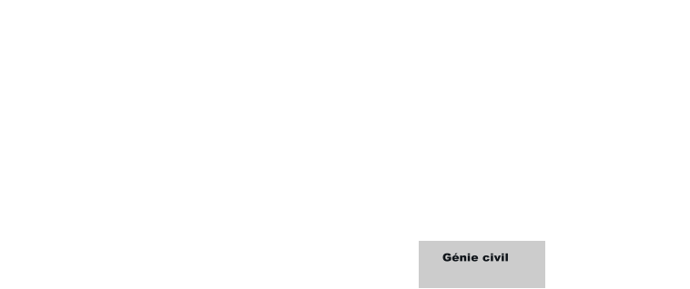 Gnie civil