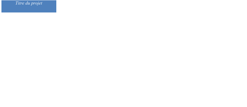 Titre du projet