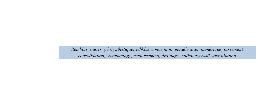 Remblai routier, gosynthtique, sebkha, conception, modlisation numrique, tassement,  consolidation,     compactage, ren forcement, drainage, milieu agressif, auscultation.