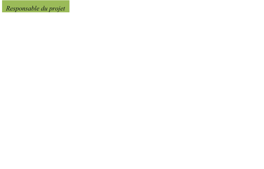 Responsable du projet