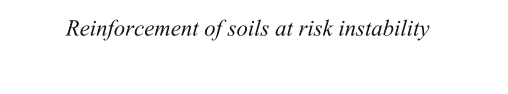 Reinforcement of soils at risk instability